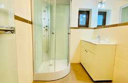 Duplex de inchiriat, 175 mp, 4 parcari, zona strazii Fagului