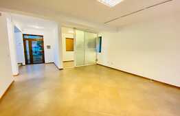 Duplex de inchiriat, 175 mp, 4 parcari, zona strazii Fagului