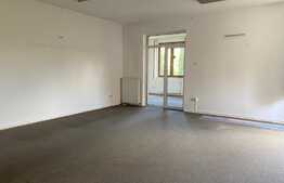 Vila moderna in zona de top, 320 mp, Andrei Muresanu, 10 locuri de parcare