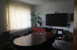 Vila moderna in zona de top, 320 mp, Andrei Muresanu, 10 locuri de parcare