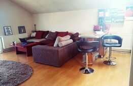 Apartament 2 camere, 63 mp, zona Muzeul Apei, pet friendly