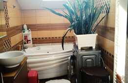 Apartament 2 camere, 63 mp, zona Muzeul Apei, pet friendly