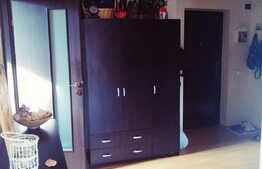 Apartament 2 camere, 63 mp, zona Muzeul Apei, pet friendly