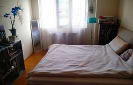 Apartament 2 camere, 63 mp, zona Muzeul Apei, pet friendly