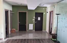 4 camere, 100 mp, gradina, boxa, parcare, zona strazii Eugen Ionesco