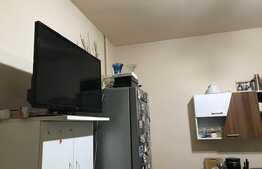 De vanzare, apartament 1 camera, zona Regele Ferdinand