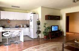 Apartament 3 camere, in zona strazii Romul Ladea