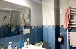 Apartament 3 camere, in zona strazii Romul Ladea