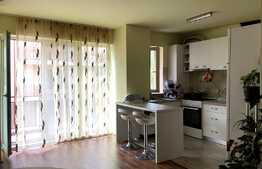 Apartament 3 camere, in zona strazii Romul Ladea