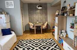 Apartament 3 camere, 67mp, terasa de 60 mp, zona strazii Castanilor