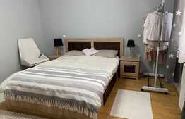 Apartament 3 camere, 67mp, terasa de 60 mp, zona strazii Castanilor