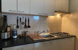 Apartament 3 camere, 67mp, terasa de 60 mp, zona strazii Castanilor