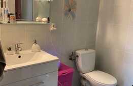 Apartament 3 camere, 67mp, terasa de 60 mp, zona strazii Castanilor