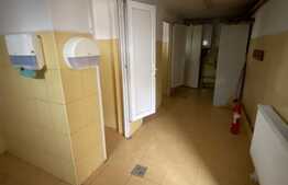 Spatiu multifunctional, 400mp, curte, parcare, zona Avram Iancu!