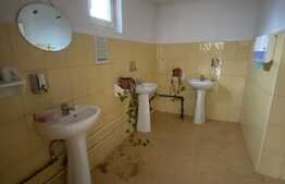 Spatiu multifunctional, 400mp, curte, parcare, zona Avram Iancu!