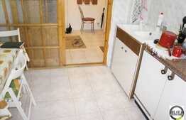 Inchiriere 2 camere, 52 mp la 5 minute de magazinul Profi