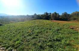 Teren  intravilan cu suprafata totala de 1010 mp, in Radaia