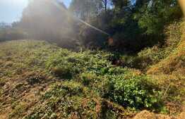 Teren  intravilan cu suprafata totala de 1010 mp, in Radaia