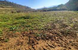 Teren  intravilan cu suprafata totala de 1010 mp, in Radaia