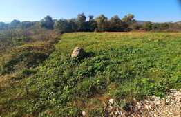 Teren  intravilan cu suprafata totala de 1010 mp, in Radaia