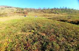 Teren  intravilan cu suprafata totala de 1010 mp, in Radaia