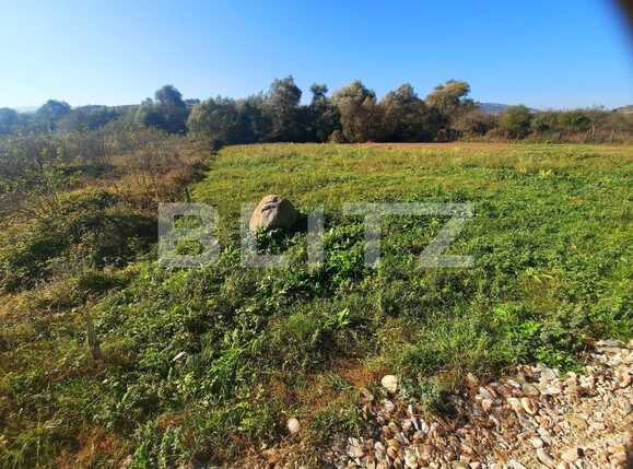 Teren de vânzare Exterior Vest - 57411TV | BLITZ Cluj-Napoca | Poza2