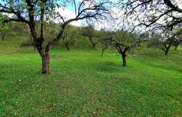 Teren intravilan 2100 mp in cartierul Sopor cu panorama deosebita