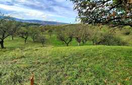 Teren intravilan 2100 mp in cartierul Sopor cu panorama deosebita