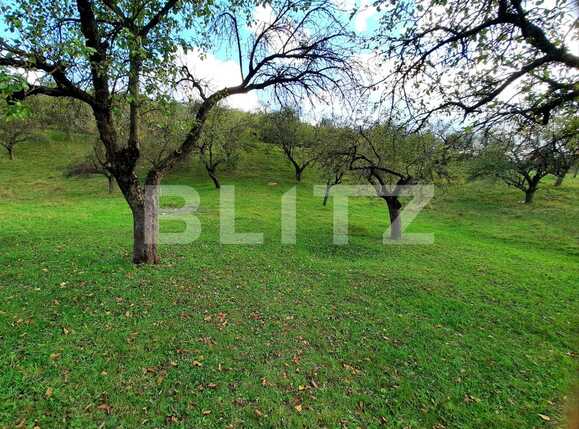 Teren de vânzare Sopor - 57412TV | BLITZ Cluj-Napoca | Poza3