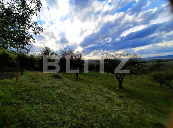 Teren de vânzare Sopor - 57412TV | BLITZ Cluj-Napoca | Poza4