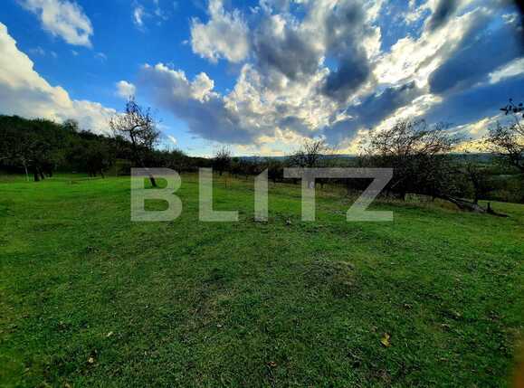 Teren de vânzare Sopor - 57412TV | BLITZ Cluj-Napoca | Poza2