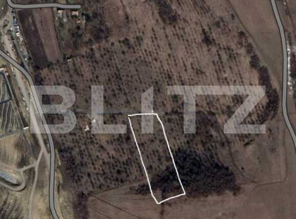 Teren de vânzare Sopor - 57412TV | BLITZ Cluj-Napoca | Poza7