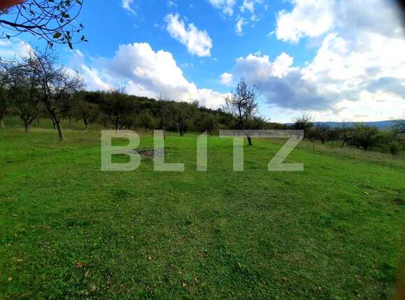 Teren de vânzare Sopor - 57412TV | BLITZ Cluj-Napoca | Poza1