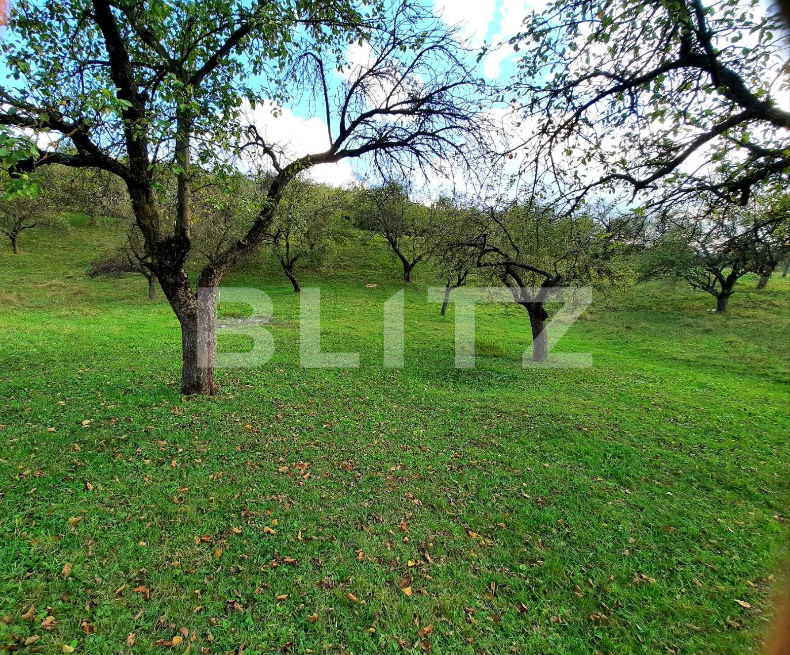 Teren de vânzare Sopor - 57412TV | BLITZ Cluj-Napoca | Poza3