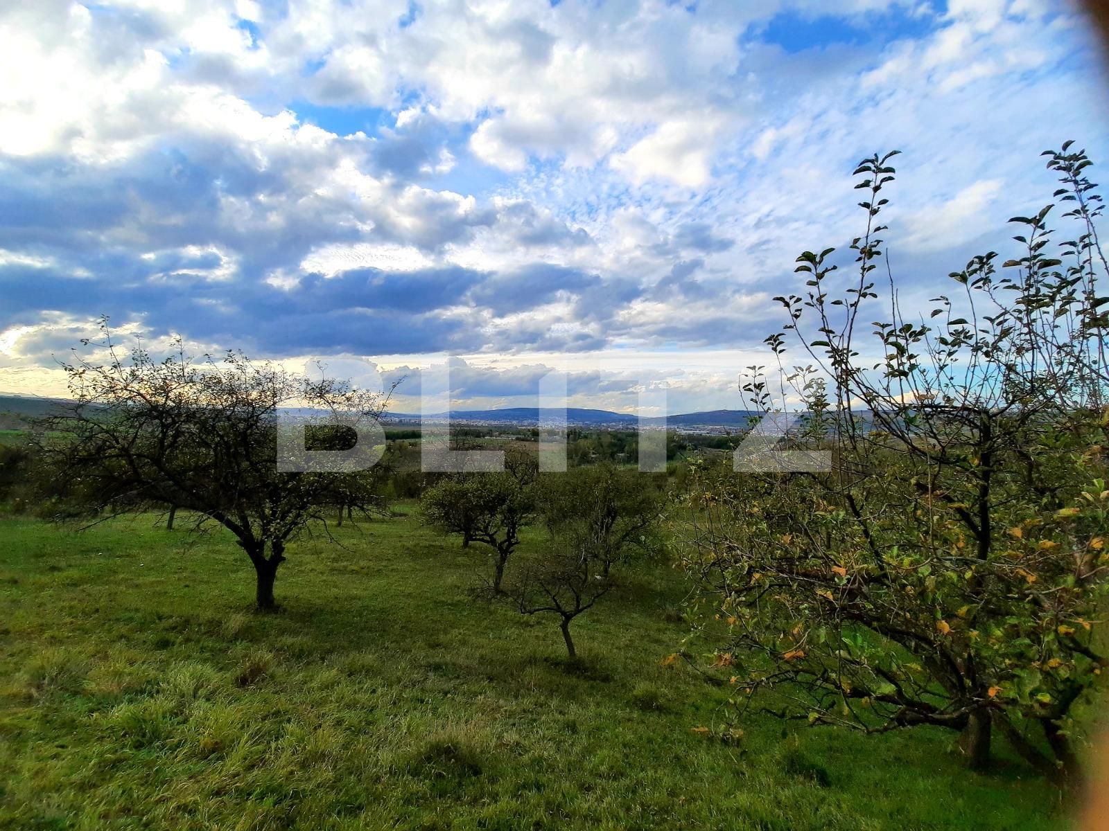 Teren de vânzare Sopor - 57412TV | BLITZ Cluj-Napoca | Poza5