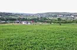 Teren intravilan ,1078 mp,in cartierul Borhanci