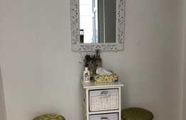 Garsoniera cocheta, 30 mp, pet friendly, zona strazii Horea