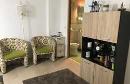 Garsoniera cocheta, 30 mp, pet friendly, zona strazii Horea