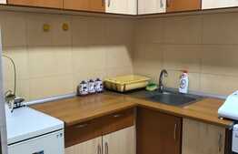 Garsoniera cocheta, 30 mp, pet friendly, zona strazii Horea