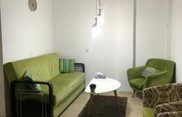 Garsoniera cocheta, 30 mp, pet friendly, zona strazii Horea