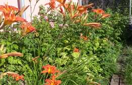 De vanzare casa individuala,150 mp utili, 157 mp teren,zona linistita