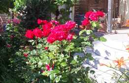 De vanzare casa individuala,150 mp utili, 157 mp teren,zona linistita