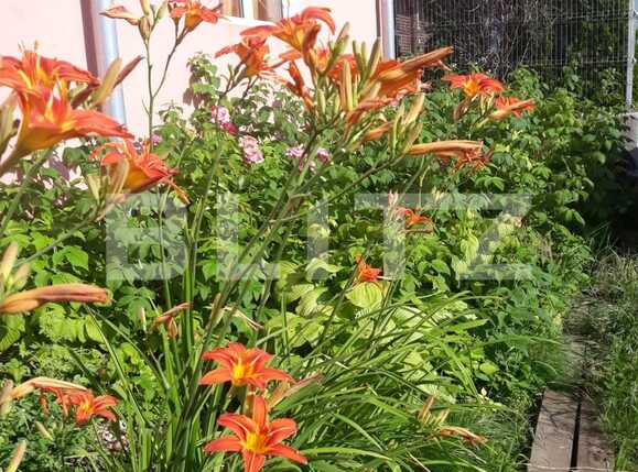 Casa de vânzare 6 camere Dambul Rotund - 57452CV | BLITZ Cluj-Napoca | Poza20