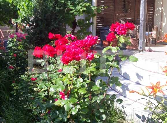 Casa de vânzare 6 camere Dambul Rotund - 57452CV | BLITZ Cluj-Napoca | Poza19