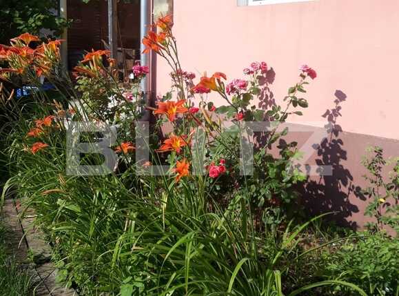 Casa de vânzare 6 camere Dambul Rotund - 57452CV | BLITZ Cluj-Napoca | Poza18