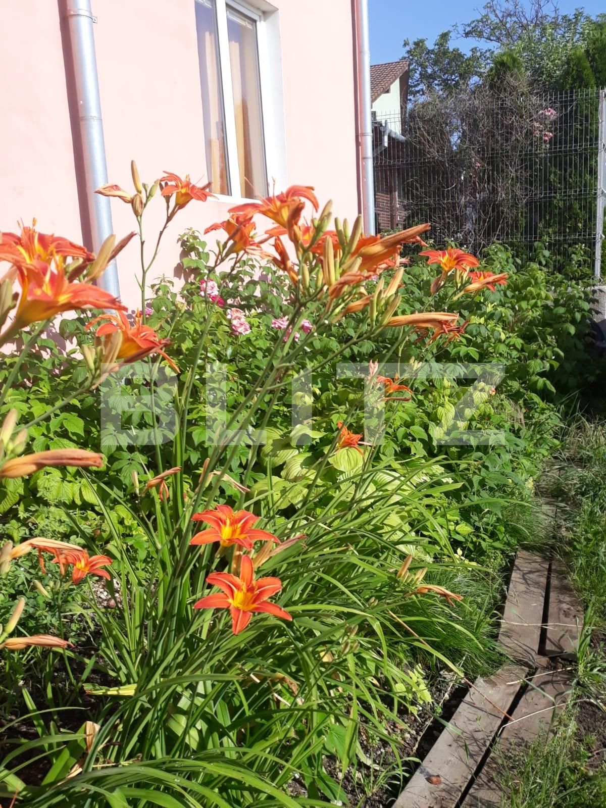 Casa de vânzare 6 camere Dambul Rotund - 57452CV | BLITZ Cluj-Napoca | Poza20