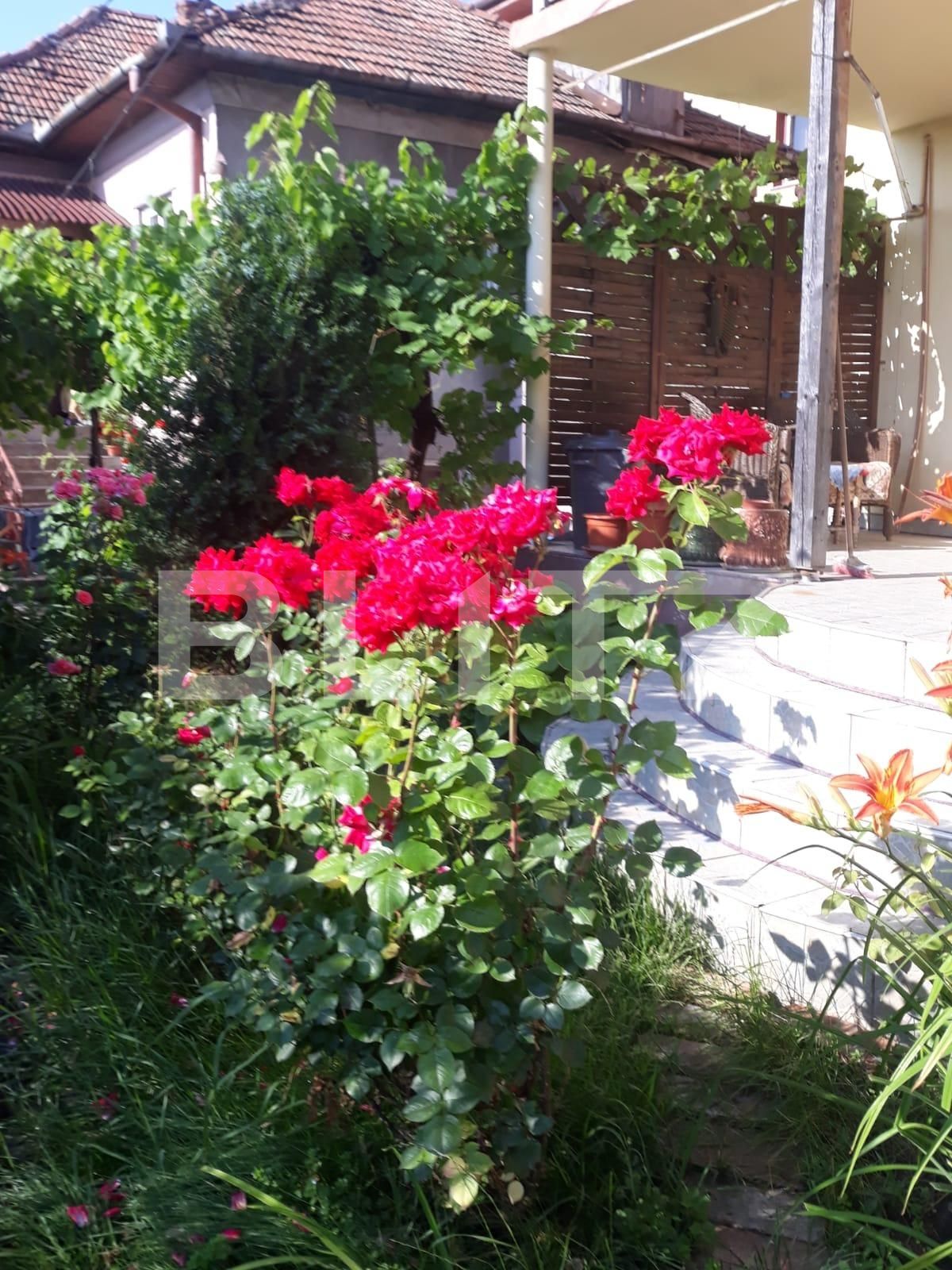 Casa de vânzare 6 camere Dambul Rotund - 57452CV | BLITZ Cluj-Napoca | Poza19