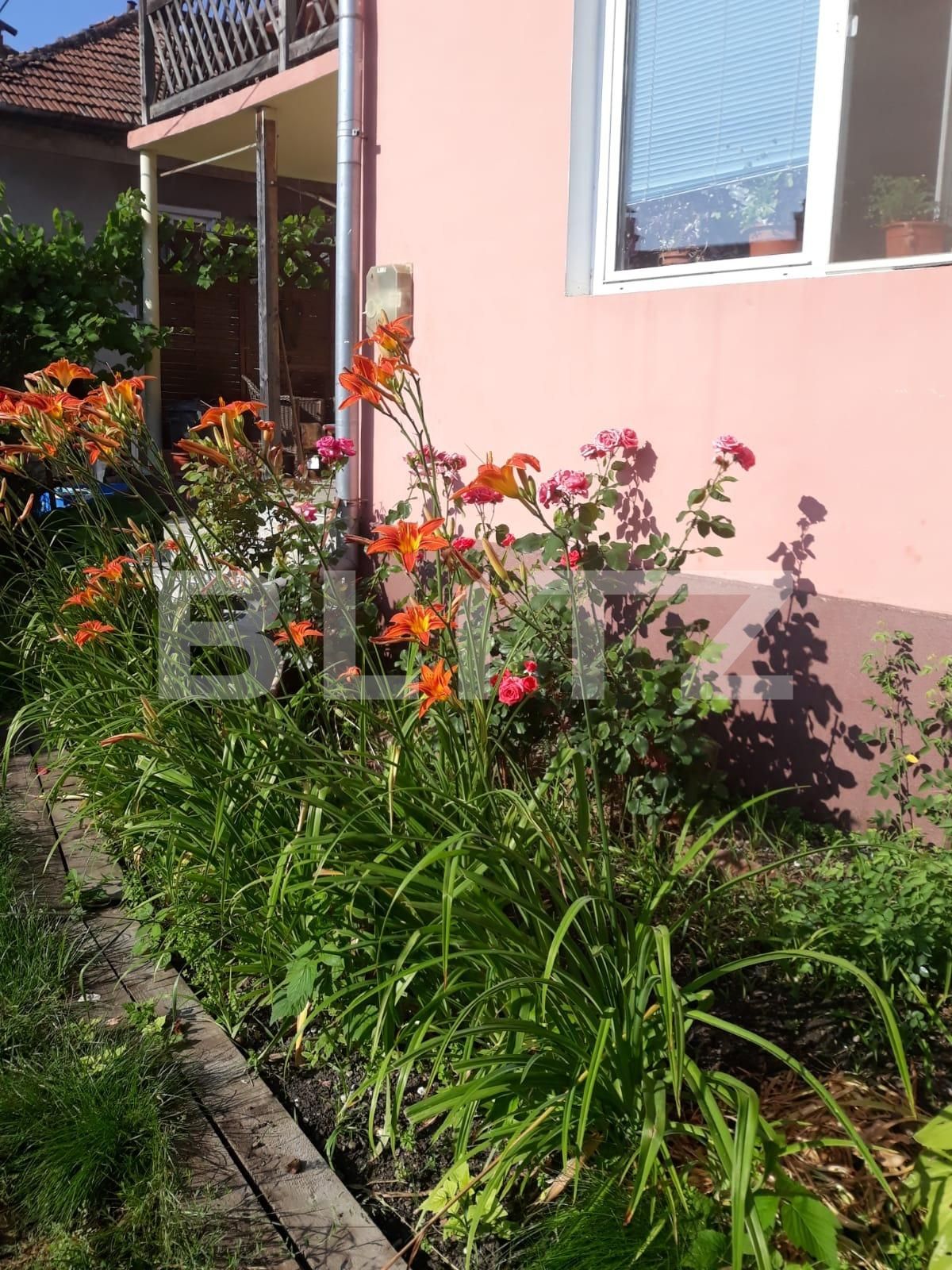 Casa de vânzare 6 camere Dambul Rotund - 57452CV | BLITZ Cluj-Napoca | Poza18