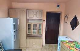 Garsoniera cocheta ideala pentru investitie, 11mp + baie, zona Calea Floresti