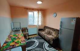 Garsoniera cocheta ideala pentru investitie, 11mp + baie, zona Calea Floresti